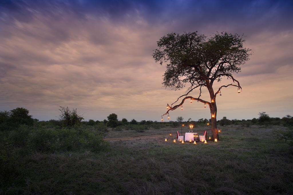 Tanda Tula Safari Camp Βίλα Timbavati Game Reserve Εξωτερικό φωτογραφία