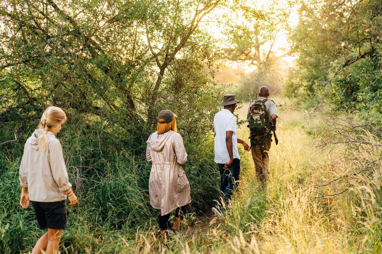 Tanda Tula Safari Camp Βίλα Timbavati Game Reserve Εξωτερικό φωτογραφία